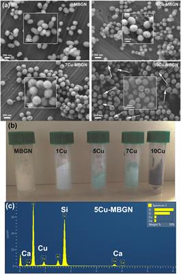 Toward Highly Dispersed Mesoporous Bioactive Glass Nanoparticles With High Cu Concentration Using Cu/Ascorbic Acid Complex as Precursor